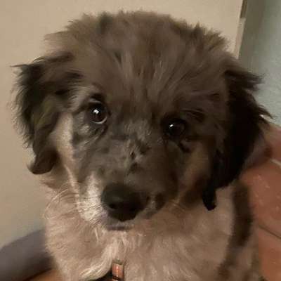 Melanie's Profilbild