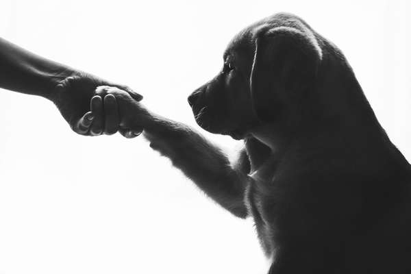 Foto-Challenge 76: Foto in Schwarz-Weiss-Beitrag-Bild