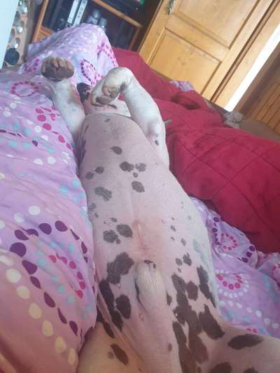 Schlafposition-Beitrag-Bild