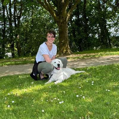 Hundetreffen-Hundefreunde kennenlernen-Bild