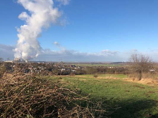 Hundeauslaufgebiet-Jüngersdorfer Wald (am TUS08 )-Bild