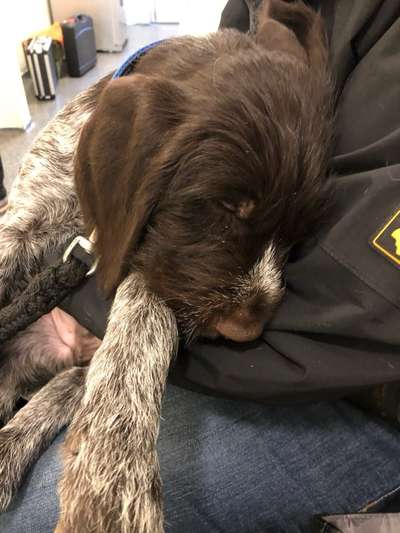 Sie werden so schnell erwachsen ...-Beitrag-Bild