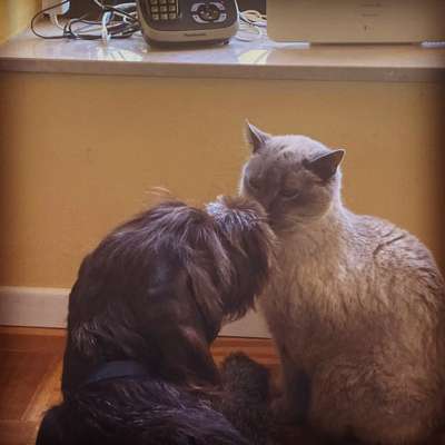 Fotochallenge Nr. 62 Romantische Momente-Beitrag-Bild