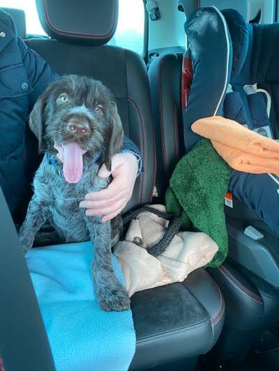 Sie werden so schnell erwachsen ...-Beitrag-Bild