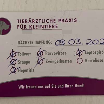 Welche Impfungen sollte man auf jeden Fall machen ?-Beitrag-Bild