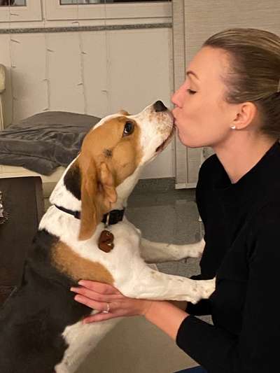 Spielfreund & gegenseitige Urlaubsbetreuung gesucht!-Beitrag-Bild