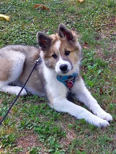 Handy-Foto Challange Nr. 10-Beitrag-Bild