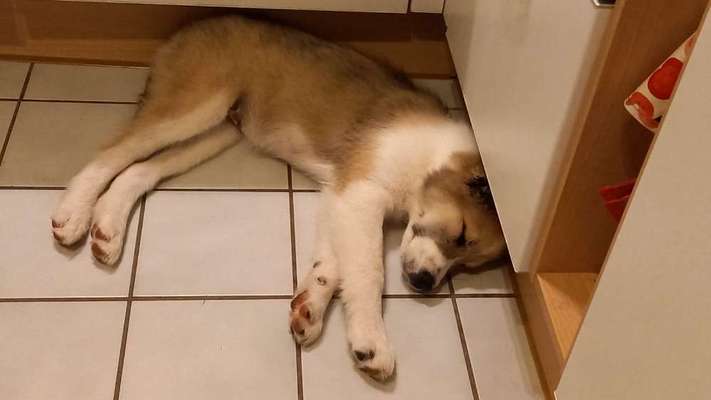 Außergewöhnliche Merkmale-Beitrag-Bild