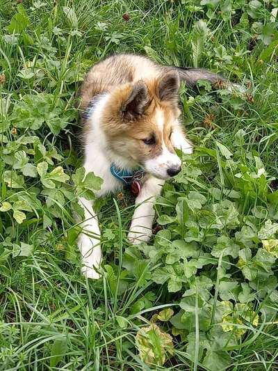 Ist das ein...?-Beitrag-Bild