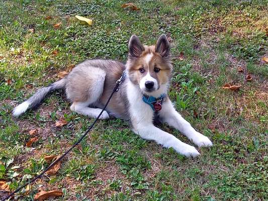 Doppelgänger gesucht !-Beitrag-Bild