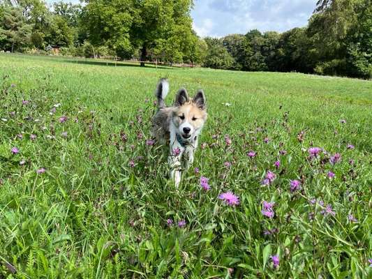 Lieblingsbild-Beitrag-Bild