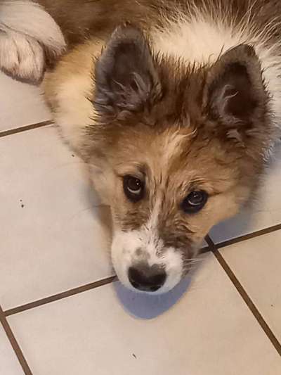 Handy-Foto Challange Nr. 10-Beitrag-Bild