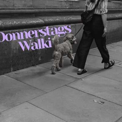 Hundetreffen-Donnerstags Walki-Bild