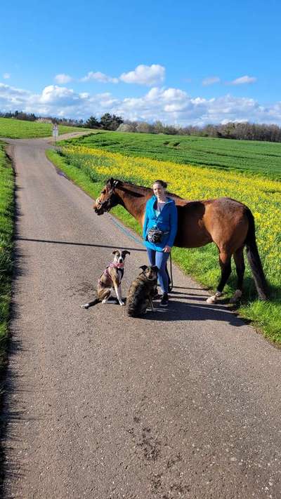 9.Farben-Fotochallenge            Gelb-Beitrag-Bild