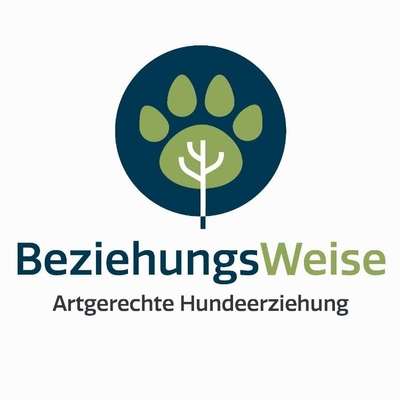 Hundeschulen-BeziehungsWeise - Hundeschule in Kiel-Bild