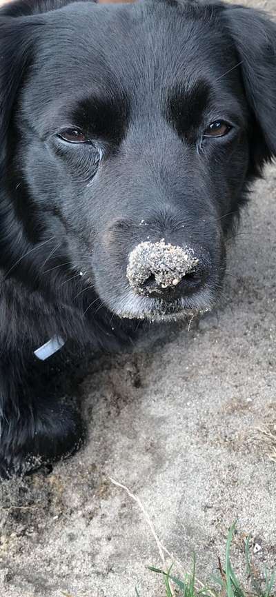 42. Handy Fotochallenge - Den richtigen Riecher haben-Beitrag-Bild