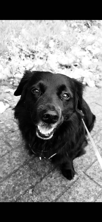 FarbenFoto - Challenge: Sepia-Beitrag-Bild