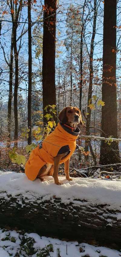 Wintermäntel bzw. Was fürn Übergang-Beitrag-Bild