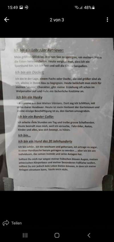 Jagdverhalten, was denkt ihr?-Beitrag-Bild