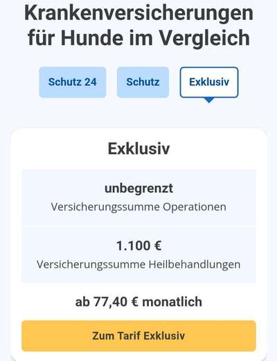 Hundekrankenversicherung-Beitrag-Bild