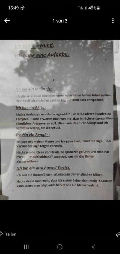 Jagdverhalten, was denkt ihr?-Beitrag-Bild