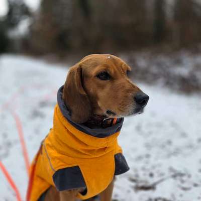 Welche Mäntel empfehlt ihr?-Beitrag-Bild