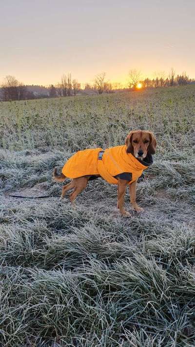 Wintermantel gesucht-Beitrag-Bild