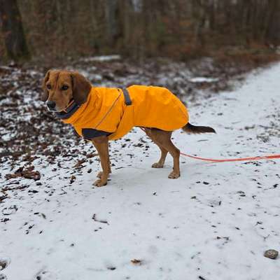 Welche Mäntel empfehlt ihr?-Beitrag-Bild