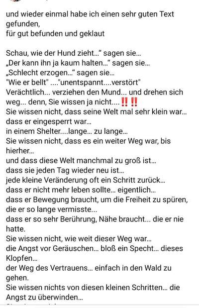 TierschutzhundeStammtisch🐕-Beitrag-Bild