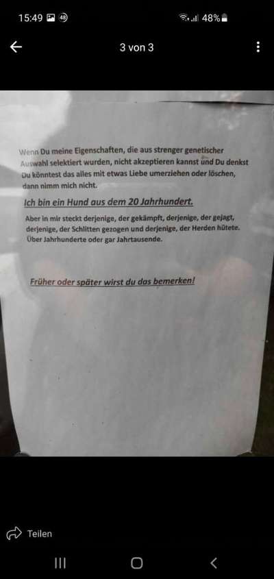 Jagdverhalten, was denkt ihr?-Beitrag-Bild