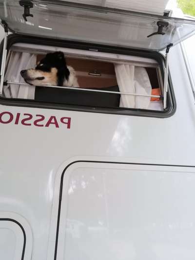 Lieblingsbild-Beitrag-Bild