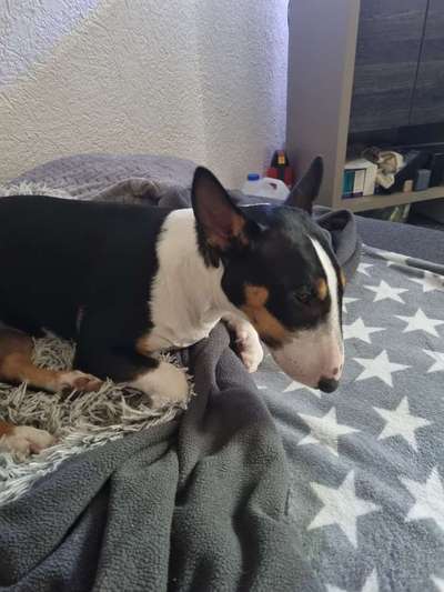 Community-Beitrag-Bild