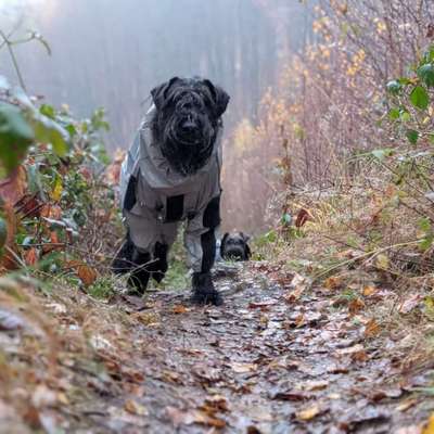 Was hat euch heute gefreut?-Beitrag-Bild