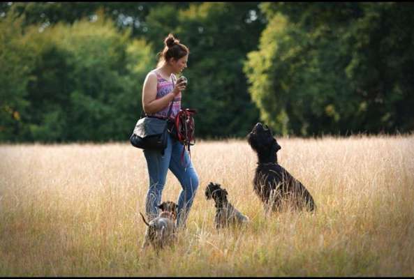 Fotochallenge 108: Starkes Team-Beitrag-Bild