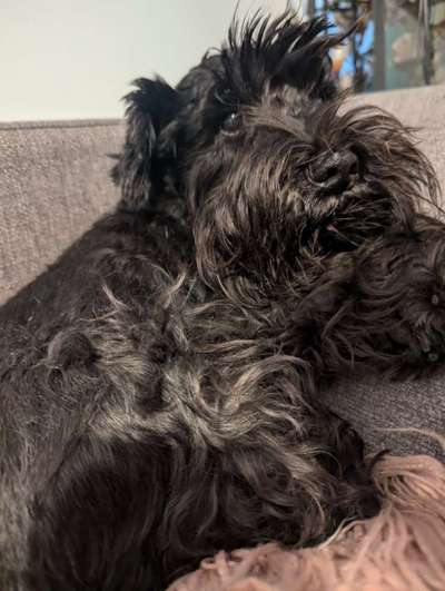 Was hat euch heute gefreut?-Beitrag-Bild