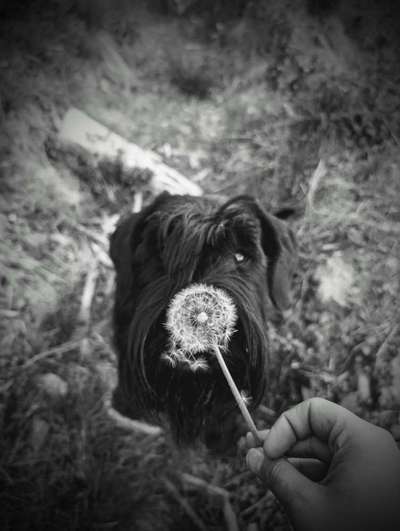 Liebling ,richtig in Szene setzen-Beitrag-Bild