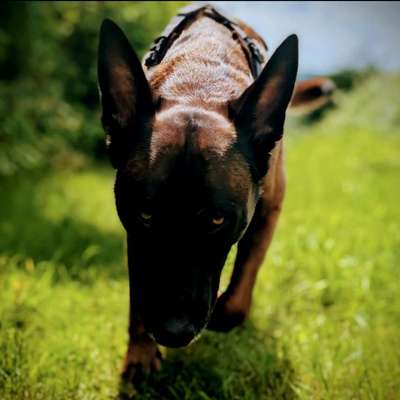 Robuster Ball für einen Mali-Beitrag-Bild