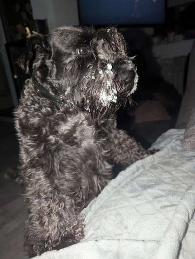 Was hat euch heute genervt?-Beitrag-Bild