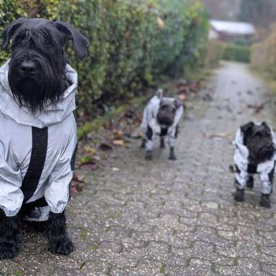 Was hat euch heute gefreut?-Beitrag-Bild