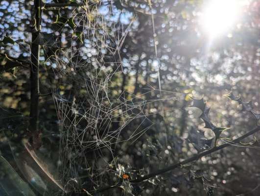 Was hat euch heute gefreut?-Beitrag-Bild