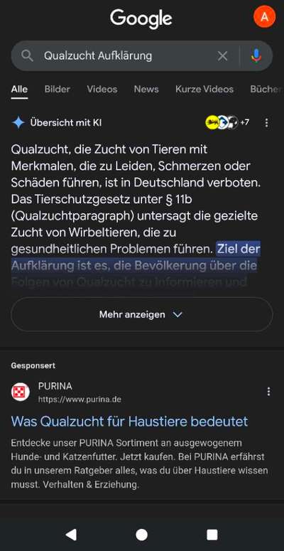 König der Qualzuchten - Cavalier King Charles Spaniel-Beitrag-Bild