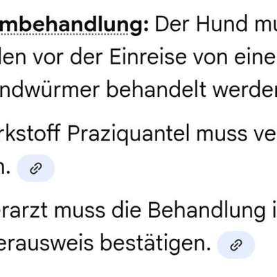 Impfungen und Tierarztkosten-Beitrag-Bild