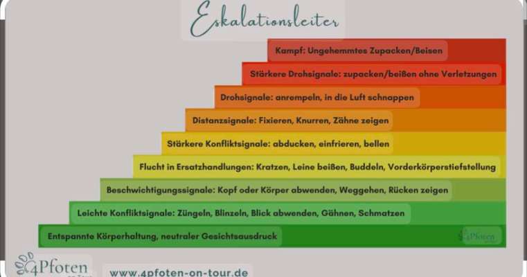 Hündin knurrt bei Leckerli weg nehmen..-Beitrag-Bild