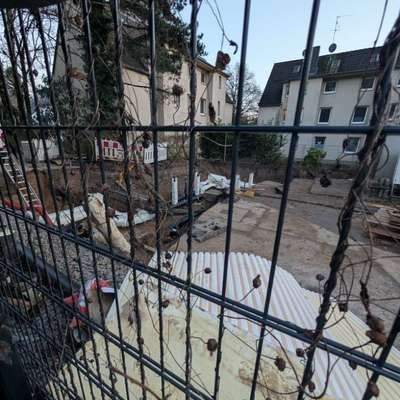 Was hat euch heute genervt?-Beitrag-Bild