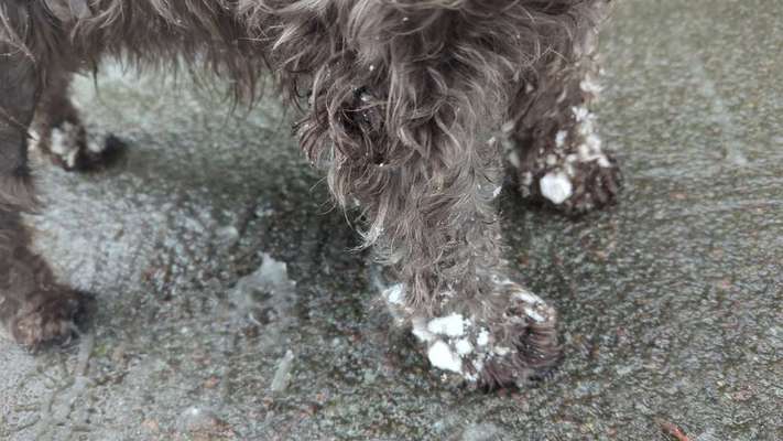 Was hat euch heute genervt?-Beitrag-Bild