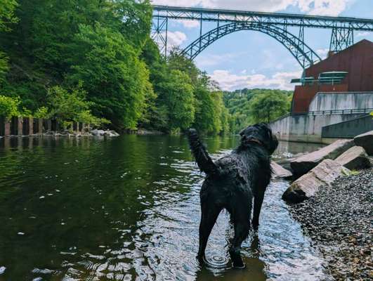 Liebling ,richtig in Szene setzen-Beitrag-Bild