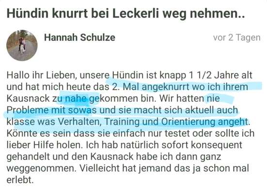 Hündin knurrt bei Leckerli weg nehmen..-Beitrag-Bild