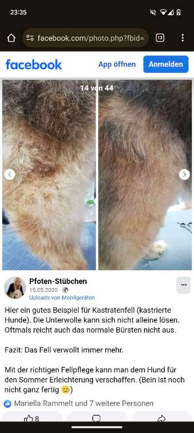 Warum lasst ihr kastrieren?-Beitrag-Bild