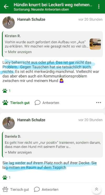 Hündin knurrt bei Leckerli weg nehmen..-Beitrag-Bild