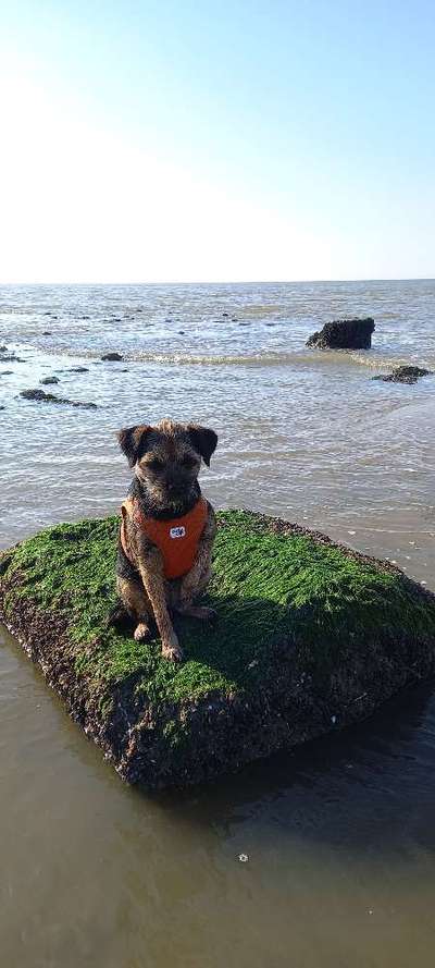 Theos Fotochallange Nummer 4-Beitrag-Bild